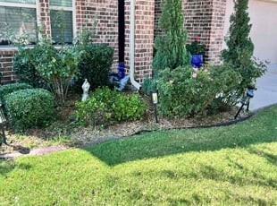 Sabina S.'s Bush Trimming service result