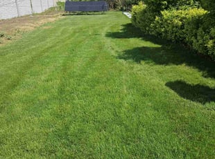 Sean B.'s grass maintenance service result