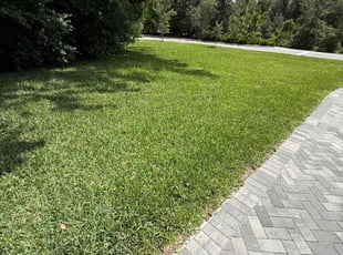 Monica W.'s grass cutting service result