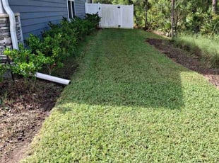 Dan W.'s turf care service result