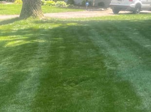 Warren V.'s lawn care service result
