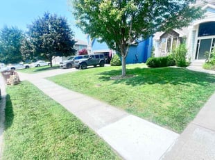 Roberta L.'s grass cutting service result