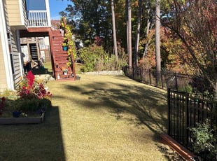 Grace B.'s turf care service result