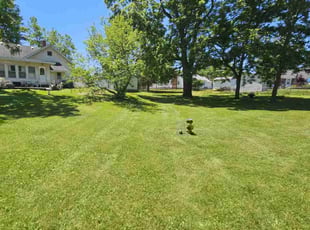 Kelly H.'s lawn care service result