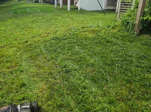 Mohan P.'s lawn care services service result