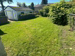 Ashley L.'s lawn service service result