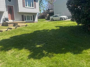 siddharth g.'s lawn care service result