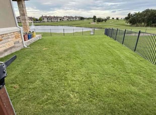 Ronald M.'s turf care service result