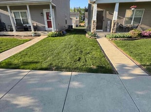 Kacee M.'s grass cutting service result
