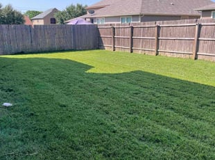 Lisa K.'s lawn care service result