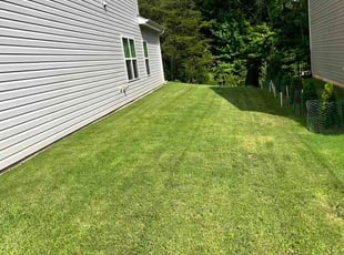 Mallory B.'s grass cutting service result
