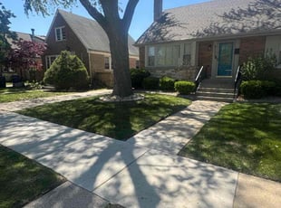Tom C.'s lawn care service result