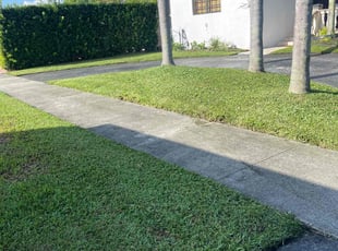 Pamela R.'s lawn care services service result