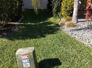 Brenda M.'s grass cutting service result
