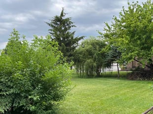 Thalia A.'s lawn care service result