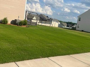 Anthony B.'s turf maintenance service result