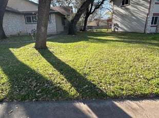 Linna O.'s lawn maintenance service result