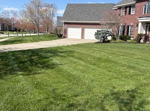 Elizabeth R.'s lawn care service result