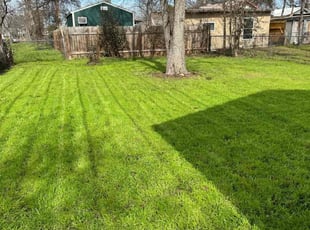 Arlethia M.'s lawn care services service result