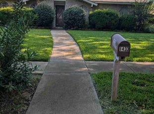 Patrice A.'s lawn care services service result