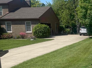 Michelle L.'s turf care service result