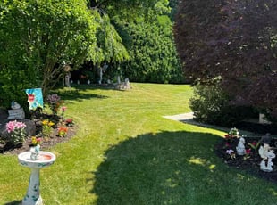 Jeanette D.'s lawn service service result