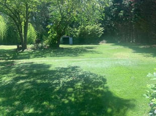 Brieah H.'s turf care service result