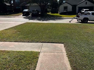 James W.'s turf maintenance service result