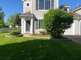 Dave M.'s yard work service result