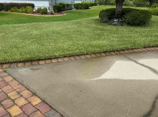 Rebecca G.'s grass maintenance service result
