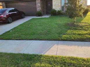 Chelsea W.'s grass cutting service result