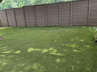 Cristine S.'s turf care service result
