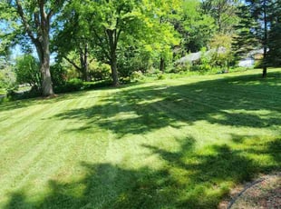 Jimmy P.'s grass cutting service result