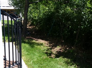 Francine W.'s Bush Trimming service result