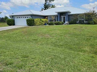 Phyllis T.'s turf care service result