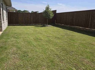 Lee M.'s lawn service service result
