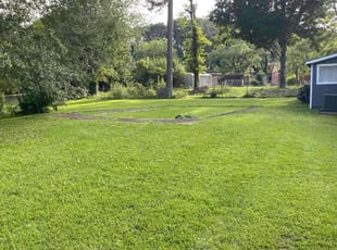 Chrystafer D.'s lawn care service result