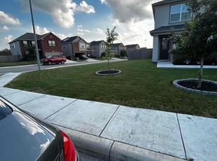 Clinton B.'s lawn care service result