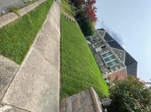Wesley K.'s lawn care services service result