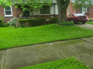 Elizabeth E.'s turf care service result