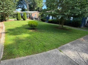 Heidi W.'s turf maintenance service result