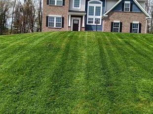 Rita M.'s turf care service result