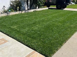 Lisa M.'s yard service service result