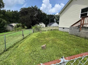 Donna D.'s Long Grass Cleanup service result