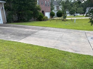Elven H.'s grass maintenance service result