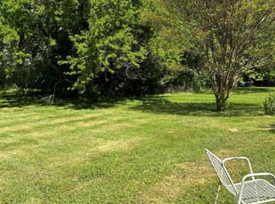 Rebecca B.'s lawn service service result