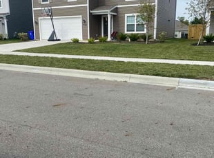 Paul A.'s turf maintenance service result