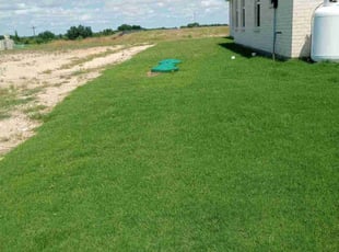 DaRonn C.'s turf care service result