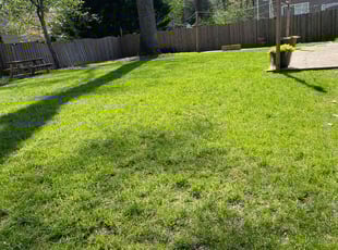 James G.'s turf care service result