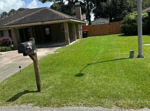Leslie P.'s turf care service result